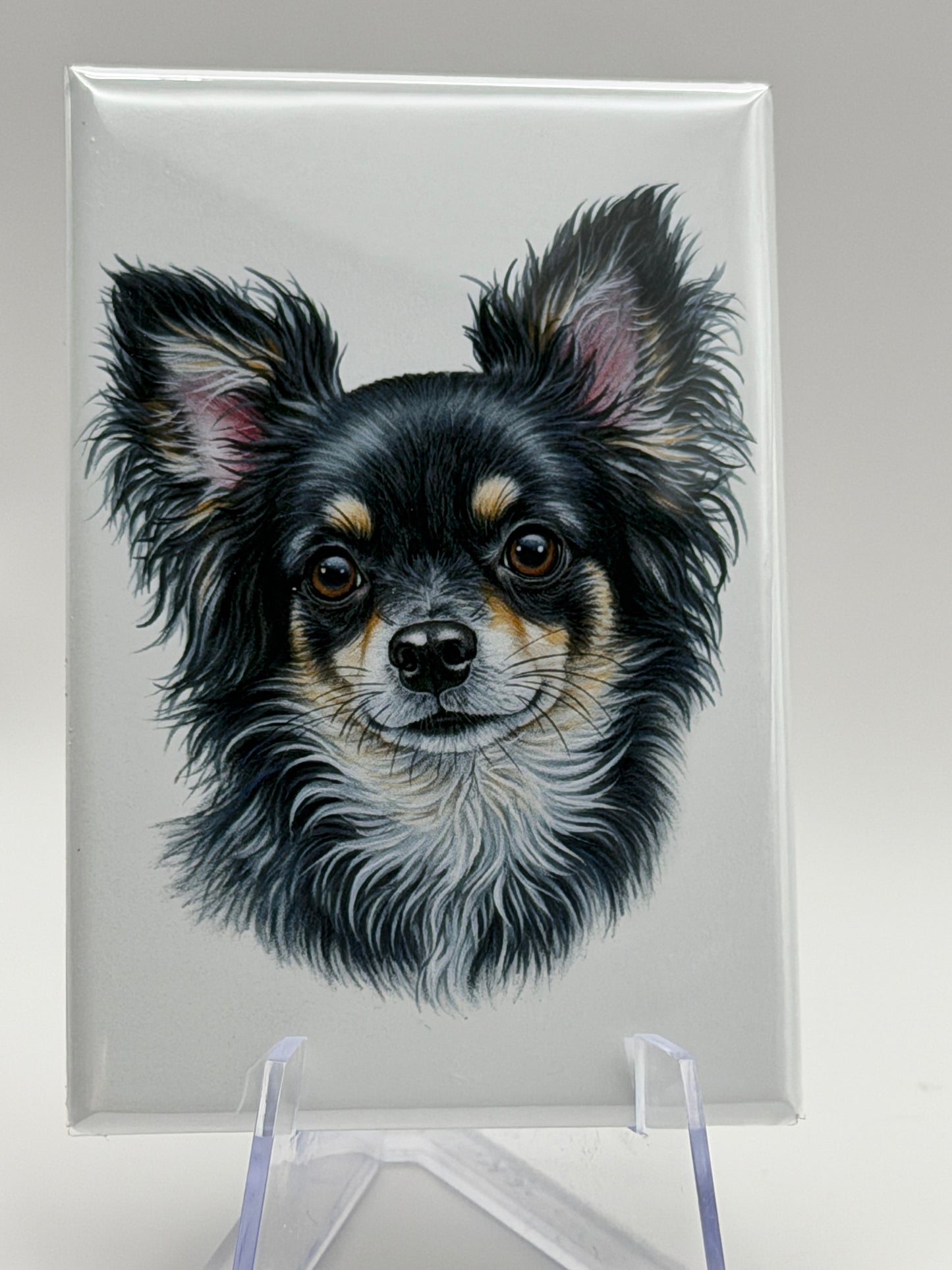 Dog Magnets – Hand-Drawn Style Designs (2x3” Glossy Rectangle)