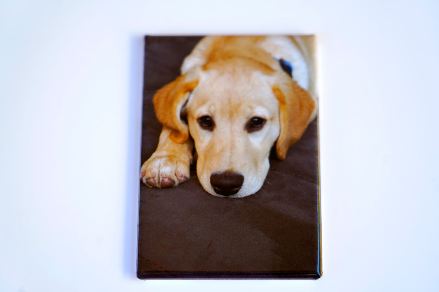 Custom 2×3 rectangle photo magnet on white background