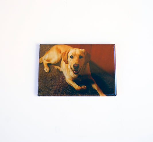 Custom 2×3 Rectangle Photo Magnets Sets