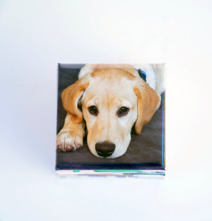 Close-up of 2x2 square photo magnet – high-quality print finish
