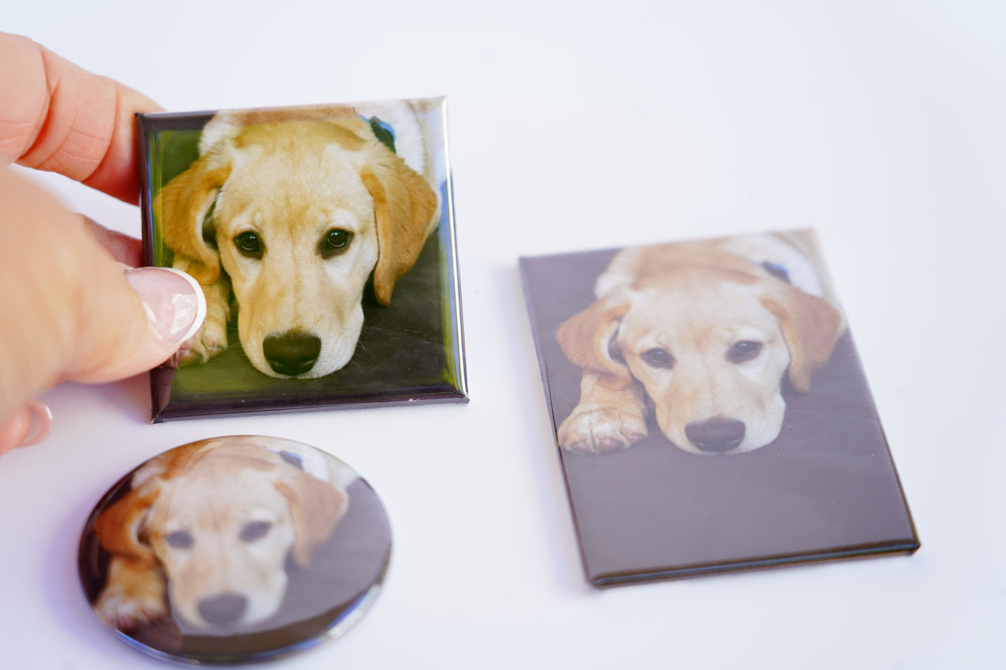 Set of dog-themed products including a button, magnet, and card on a white background.