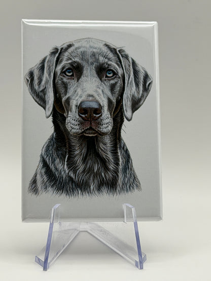 Dog Magnets – Hand-Drawn Style Designs (2x3” Glossy Rectangle)