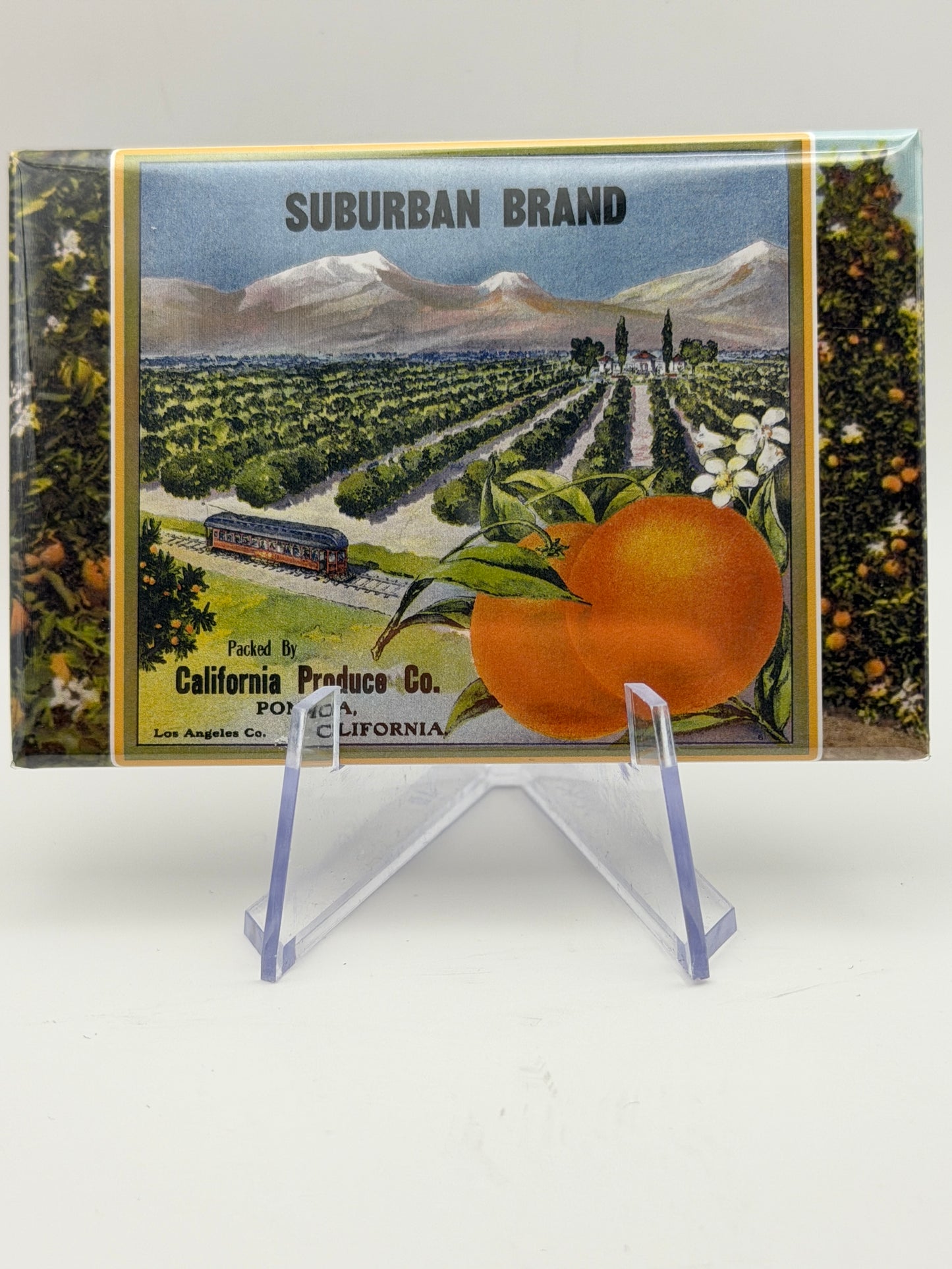 Vintage Citrus Label Magnets — Foothill Cities Collection (3x2” Glossy Rectangle)