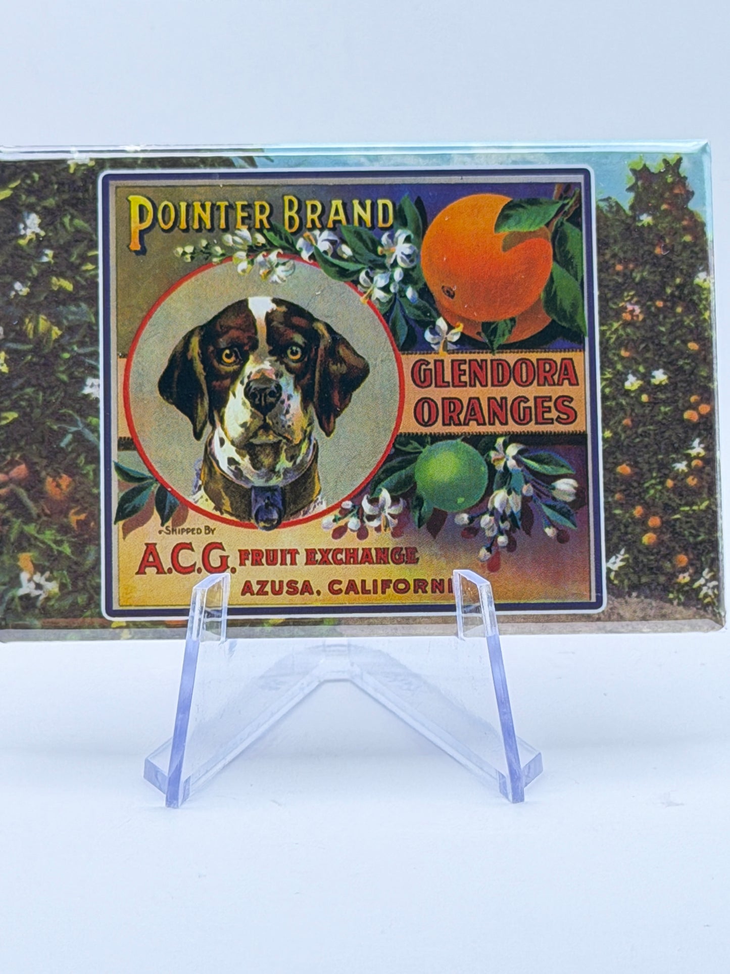 Vintage Citrus Label Magnets — Foothill Cities Collection (3x2” Glossy Rectangle)