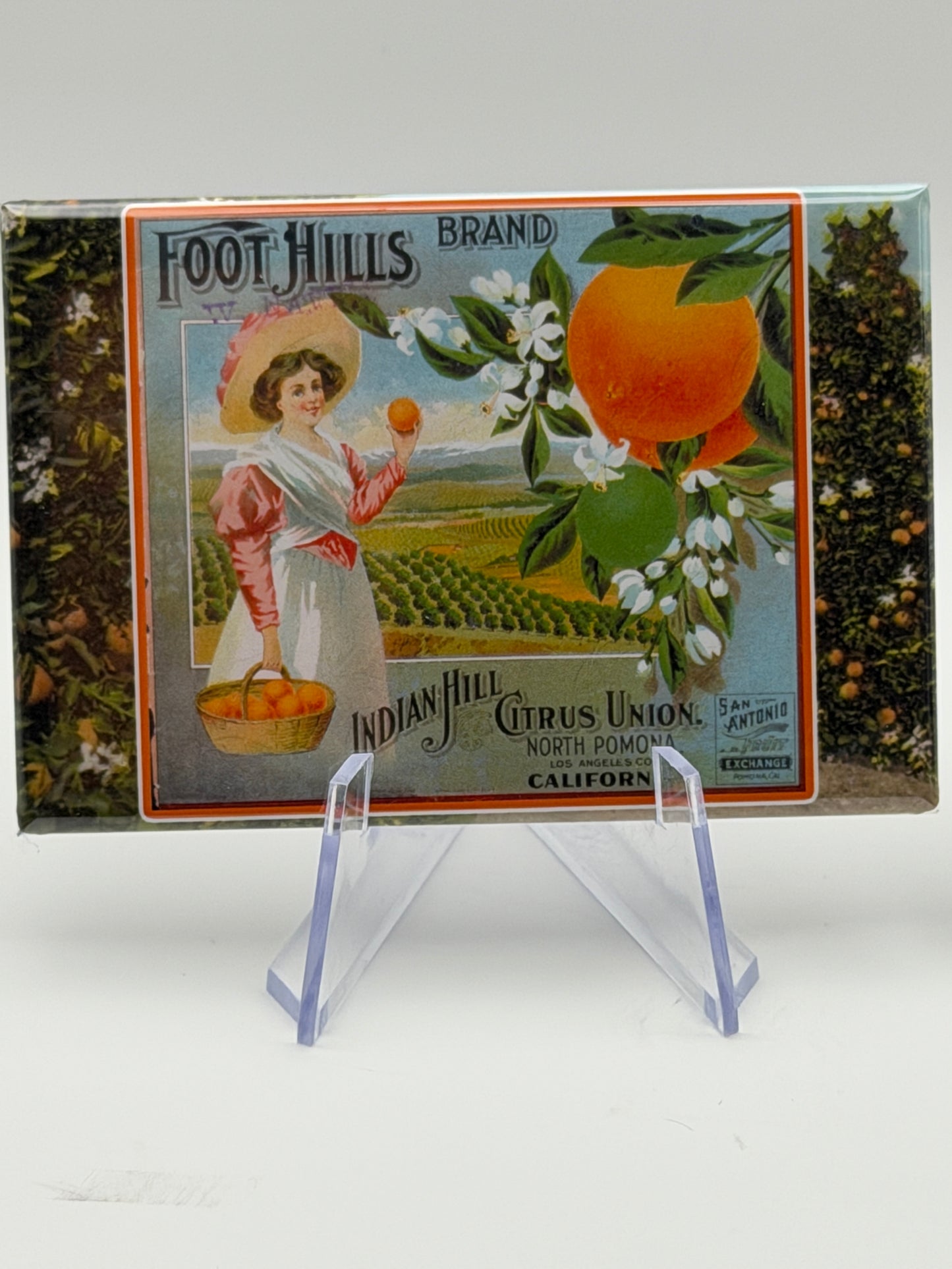 Vintage Citrus Label Magnets — Foothill Cities Collection (3x2” Glossy Rectangle)