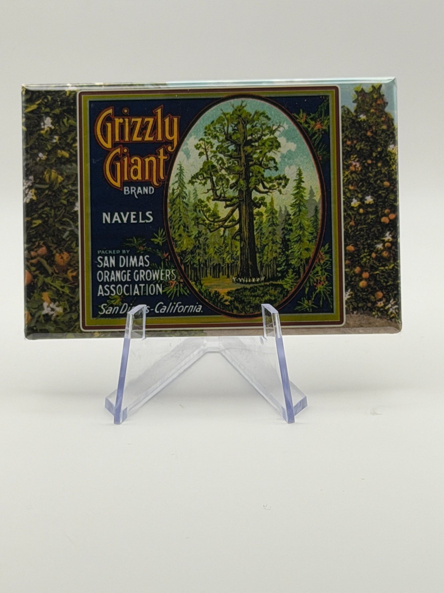 Vintage Citrus Label Magnets — Foothill Cities Collection (3x2” Glossy Rectangle)