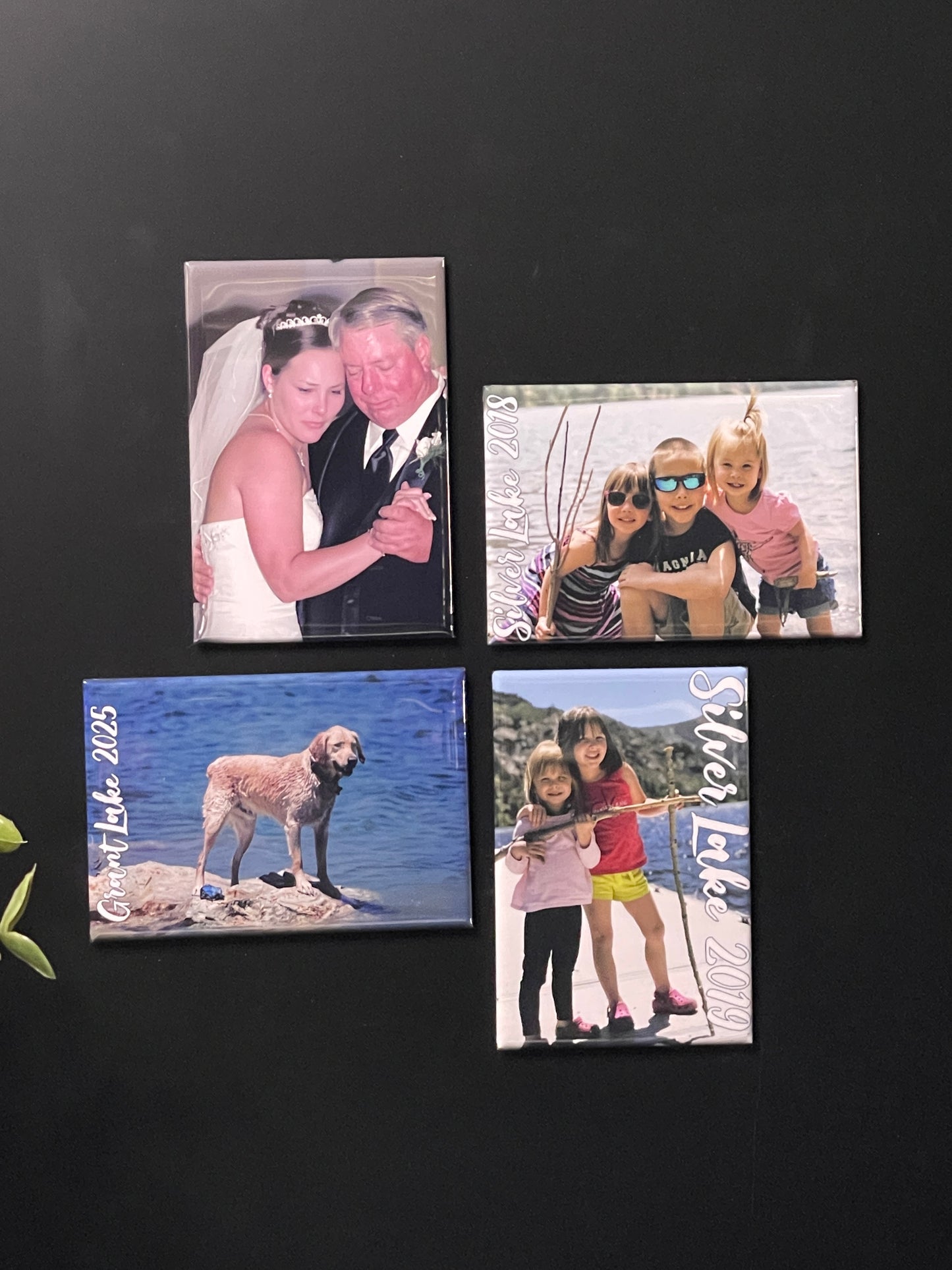 Village Venture-Custom 2x3 Rectangle Photo Magnets Set of 8